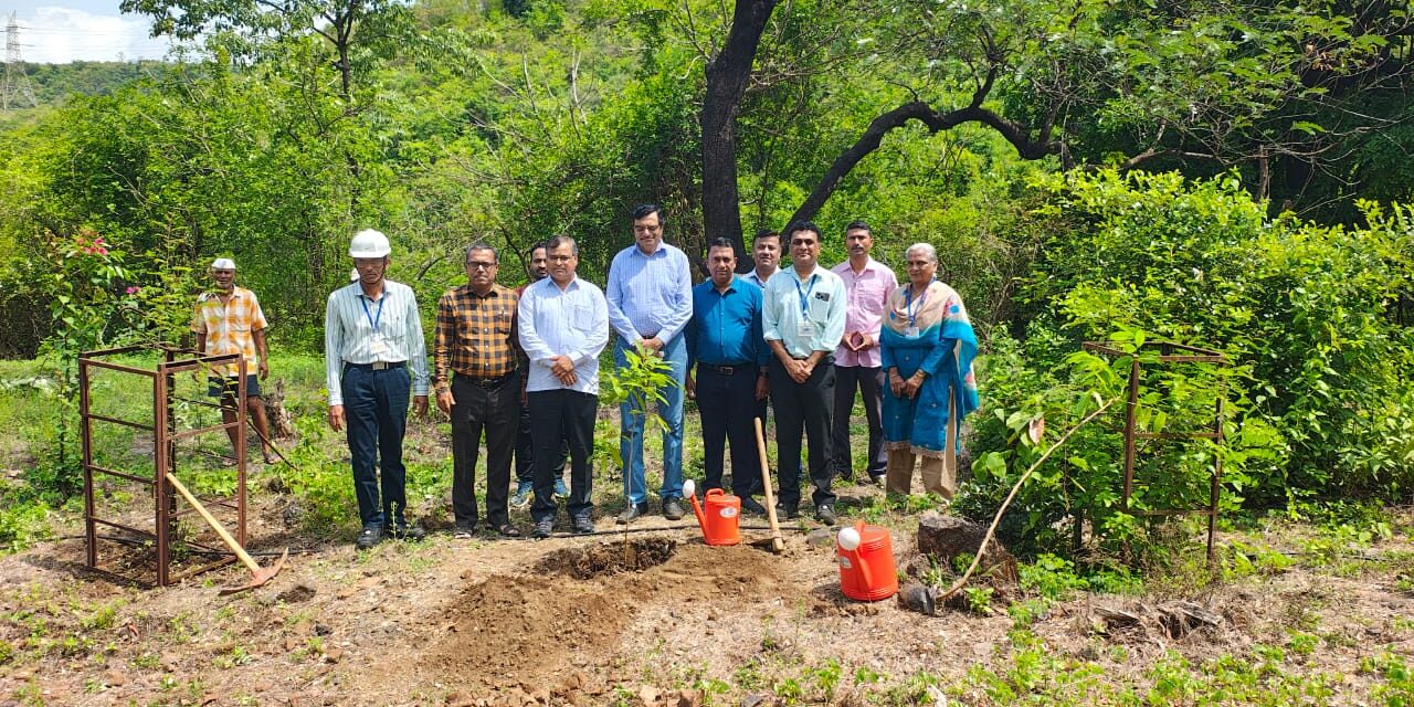 पोफळी येथे जागतिक पर्यावरण दिनानिमित्त स्वच्छता अभियान व वृक्षारोपण…