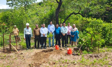 पोफळी येथे जागतिक पर्यावरण दिनानिमित्त स्वच्छता अभियान व वृक्षारोपण…