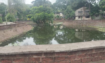 नित्यानंद भागवत यांच्या मागणीची दखल; विरेश्वर तलावाची नगर परिषदेकडून साफसफाई
