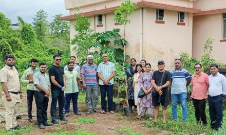 कामथे जिल्हा रुग्णालय परिसरात वृक्षारोपण; वृक्षसंवर्धनाचा डॉक्टर व कर्मचाऱ्यांचा संकल्प….