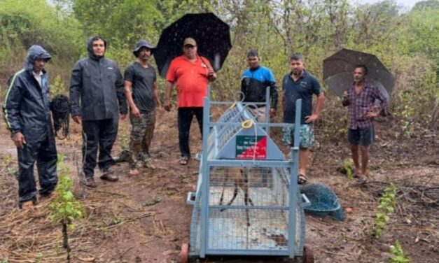 दापोली : विहिरीत कोसळलेल्या भेकराला वन विभागाच्या तत्परतेने मिळाले ‘जीवदान’