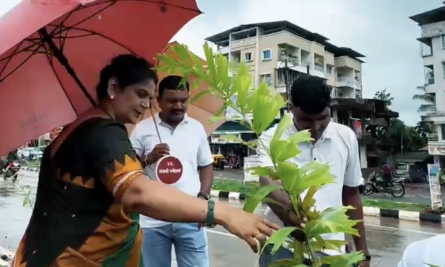 जिल्हा परिषद सदस्या पूजा निकम यांच्या नेतृत्वाखाली सावर्डे येथे मुंबई–गोवा राष्ट्रीय महामार्गावरील दुभाजकात (डिव्हायडर) पामची सुमारे ४०० झाडे लावण्यात आली….