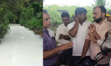 खेडच्या सोनगाव मध्ये अवतरली दूधगंगा,  ओढ्यातील पांढऱ्या पाण्याने उघड केले एमआयडीसीचे काळे वास्तव.