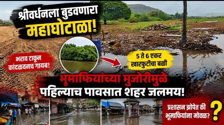 श्रीवर्धनातील कथित महाघोटाळा! ५–६ एकर कांदळवनाचा नाश; पहिल्याच पावसात शहर जलमय…