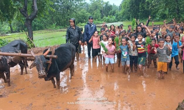 हेरीटेजच्या प्राथमिक आश्रमशाळेच्या विद्यार्थ्यांनी घेतला भात लावणी अनुभव…