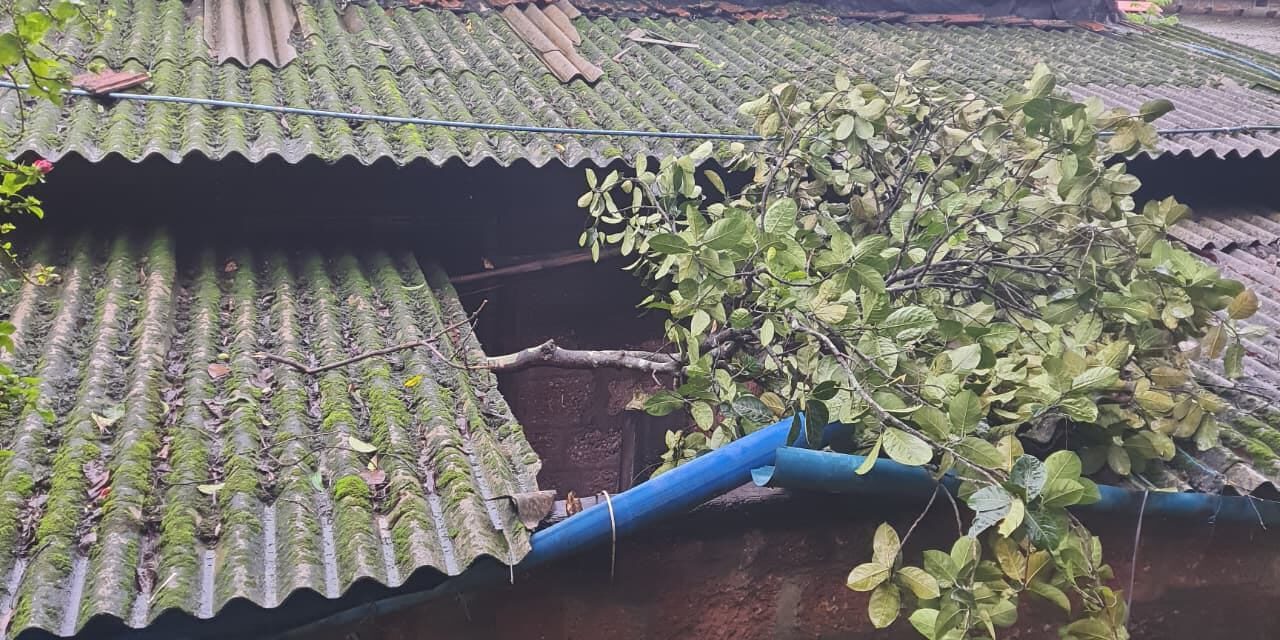 लांजा तालुक्यात मुसळधार पावसाचा तडाखा; झाडे कोसळून वाहनांसह मालमत्तेचे नुकसान…
