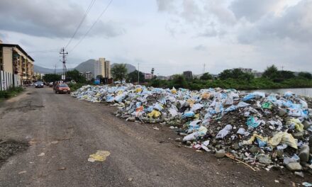 तक्रार अर्जाकडे दुर्लक्ष; संतप्त नगरसेविकेचा प्रशासनाला जाब