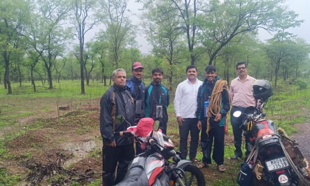 वादळामुळे खंडित झालेला वीजपुरवठा अवघ्या दोन दिवसांत पूर्ववत; महावितरणच्या तुरंबव शाखेचे सर्वत्र कौतुक