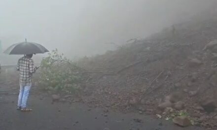 पोलादपूर तालुक्यातील आंबेनळी घाटात बावळी येथे दरड कोसळली;