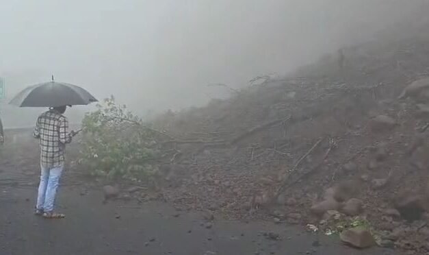 पोलादपूर तालुक्यातील आंबेनळी घाटात बावळी येथे दरड कोसळली;