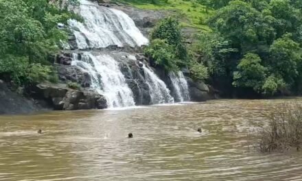 पाने धबधब्यावर पोहण्यासाठी गेलेल्या तरुणाचा बुडून मृत्यू; दुसऱ्या दिवशी सापडला मृतदेह…