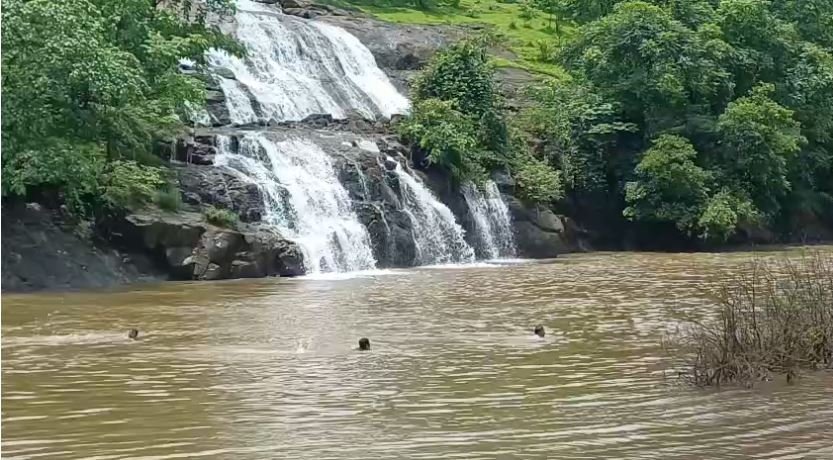 पाने धबधब्यावर पोहण्यासाठी गेलेल्या तरुणाचा बुडून मृत्यू; दुसऱ्या दिवशी सापडला मृतदेह…