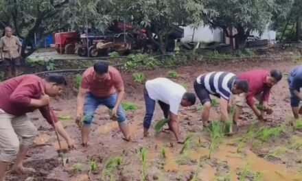 दिवाणमाळ येथे चार सूत्री पद्धतीने भात लागवडीचा प्रयोग; शेतकऱ्याला प्रगत करण्यासाठी रायगड जिल्हा परिषद व कृषी व पशुसंवर्धन विभागाचे प्रयत्न!..
