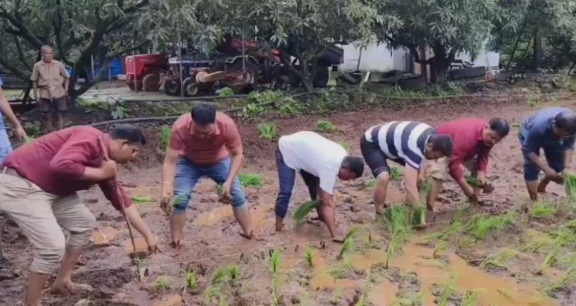 दिवाणमाळ येथे चार सूत्री पद्धतीने भात लागवडीचा प्रयोग; शेतकऱ्याला प्रगत करण्यासाठी रायगड जिल्हा परिषद व कृषी व पशुसंवर्धन विभागाचे प्रयत्न!..