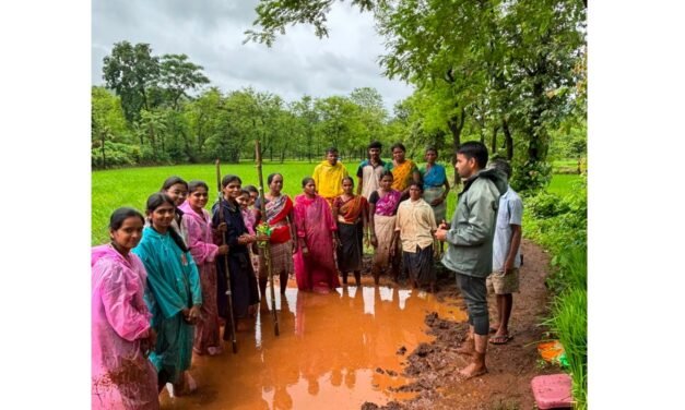 निवळी गावात एक ओळीतील भात रोपलागवडीचे प्रात्यक्षिक उत्साहात संपन्न..