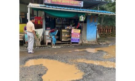 चिपळूणच्या राहुल गार्डन रोडवर मोठमोठे खड्डे- नागरिकांची तक्रार…