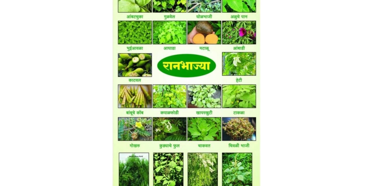 डी.बी.जे.त रानभाज्या महोत्सवाचे आयोजन…