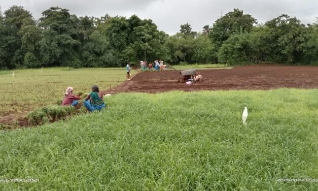 शासनाने धान्य मोफत दिले तरी आम्ही शेतीकरणार:बापेरकर…