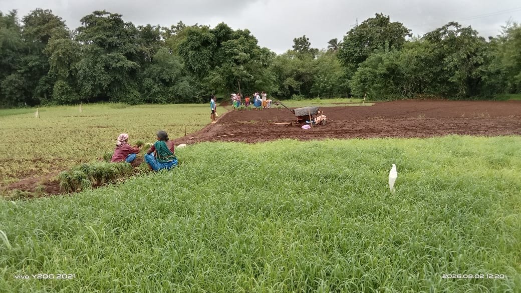 शासनाने धान्य मोफत दिले तरी आम्ही शेतीकरणार:बापेरकर…