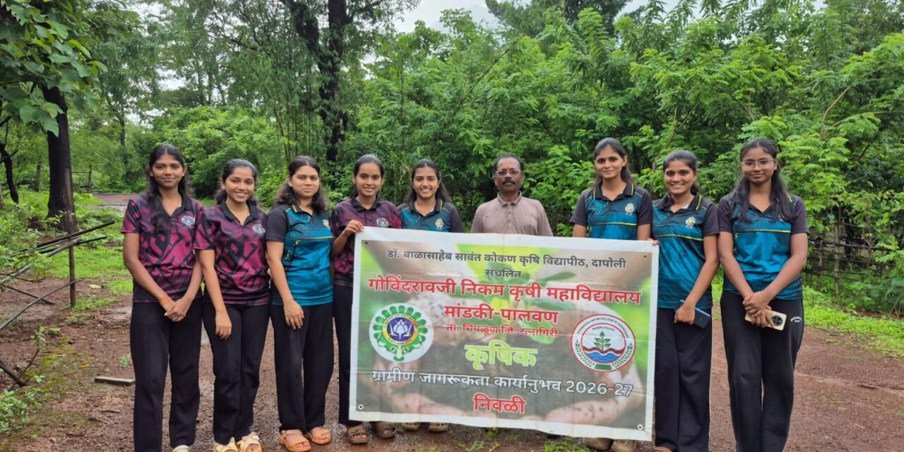 आंबा दगडी कलम तंत्रज्ञानामुळे दर्जेदार आंबा रोपांची निर्मिती कृषीकन्यांचा शेतकऱ्यांना मोलाचा संदेश..
