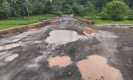 देवधे-पुनस-रत्नागिरी मार्गाची चाळण; खड्ड्यांमुळे वाहनचालक हैराण…