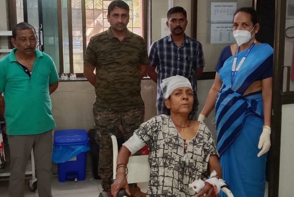 वांझोळे सुवारेवाडीत बिबट्याने घरात घुसून महिलेवर हल्ला केल्याची घटना..महिलेने अर्धा तास केला बिबट्याशी संघर्ष…