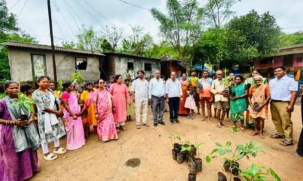 पंचरत्न मित्र मंडळ व कोकण कट्टा संस्थेच्या संयुक्त विद्यमाने वृक्षारोपण कार्यक्रम उत्साहात संपन्न…