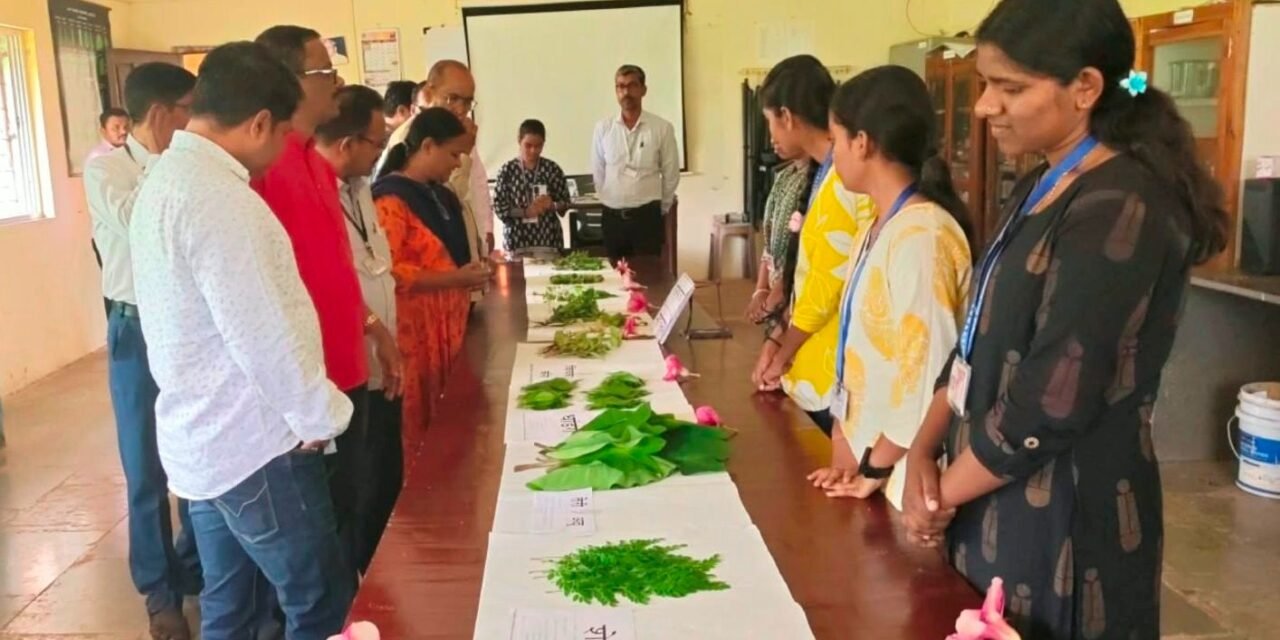 मुंडे महाविद्यालयात रानभाज्या महोत्सव कार्यक्रम संपन्न..