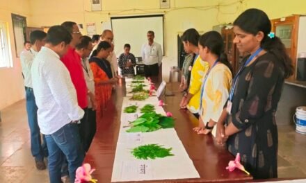 मुंडे महाविद्यालयात रानभाज्या महोत्सव कार्यक्रम संपन्न..