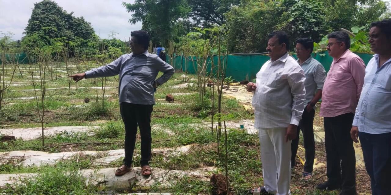 आ. भास्करशेठ जाधव यांनी केली पेठमापमधील शेवगा शेतीची पाहणी..