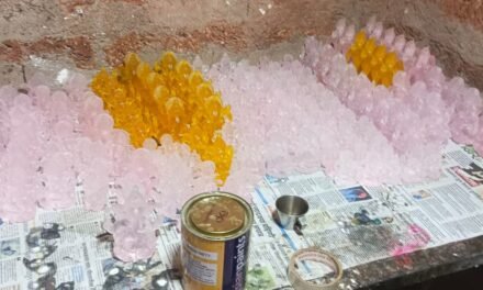 पाला येथे फायबरग्लास मूर्ती निर्मितीचा अभिनव प्रयोग; विजय दुर्गवले यांनी चोखाळली वेगळी वाट…