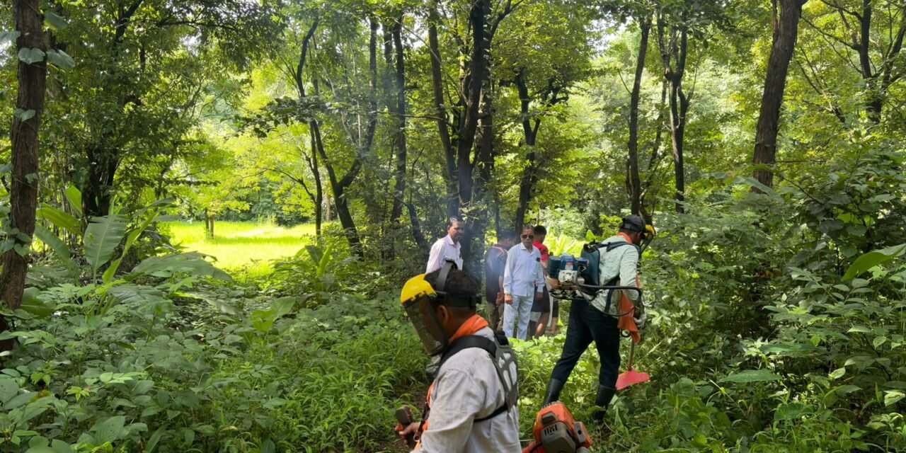 ढोक्रवलीत ‘सेवा संकल्प’ अभियानातून विसर्जन मार्गाची स्वच्छता…