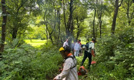 ढोक्रवलीत ‘सेवा संकल्प’ अभियानातून विसर्जन मार्गाची स्वच्छता…