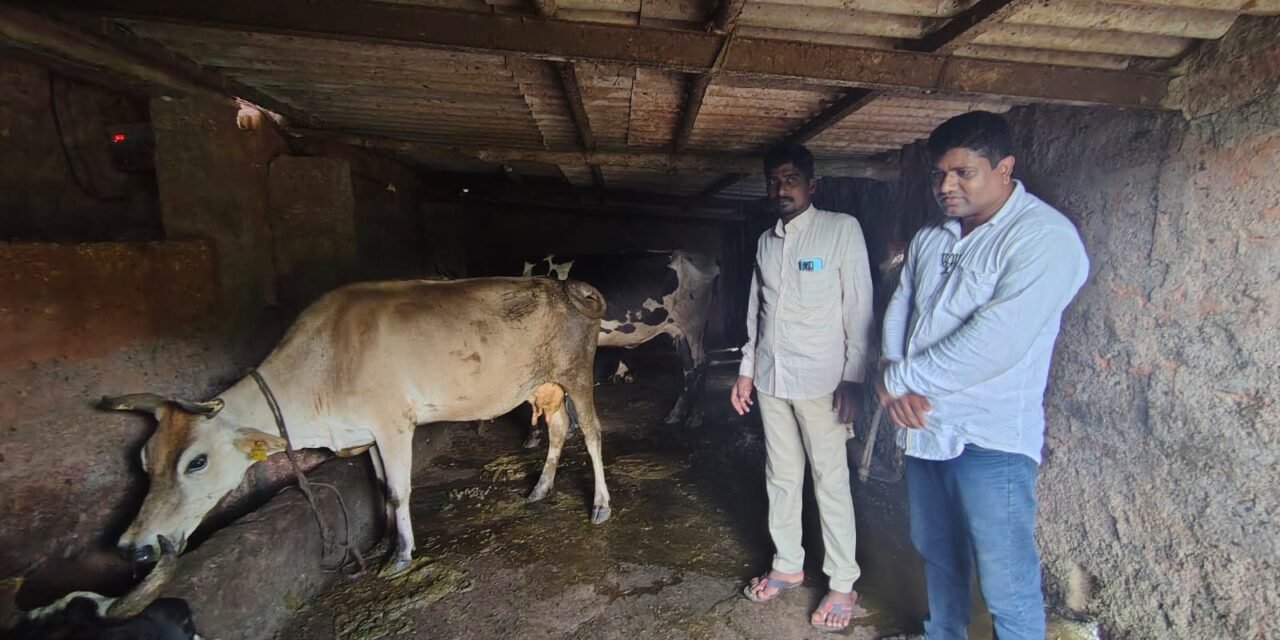 दुग्ध व्यवसायातून स्वावलंबनाची वाट; जतीन झोरे यांच्या व्यवसायास अभिजीत देवळेकरांची भेट…