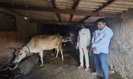 दुग्ध व्यवसायातून स्वावलंबनाची वाट; जतीन झोरे यांच्या व्यवसायास अभिजीत देवळेकरांची भेट…