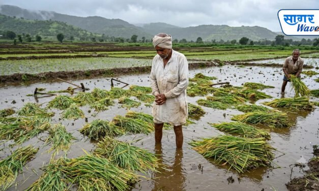 महाडमध्ये अवकाळी पावसाचा शेतकऱ्यांना जबर फटका!कापलेली भातशेती पाण्यात; हातातोंडाशी आलेला घासही हिरावलाबळीराजा हवालदिल; आता तरी महाड-पोलादपूर दुष्काळग्रस्त जाहीर करा!