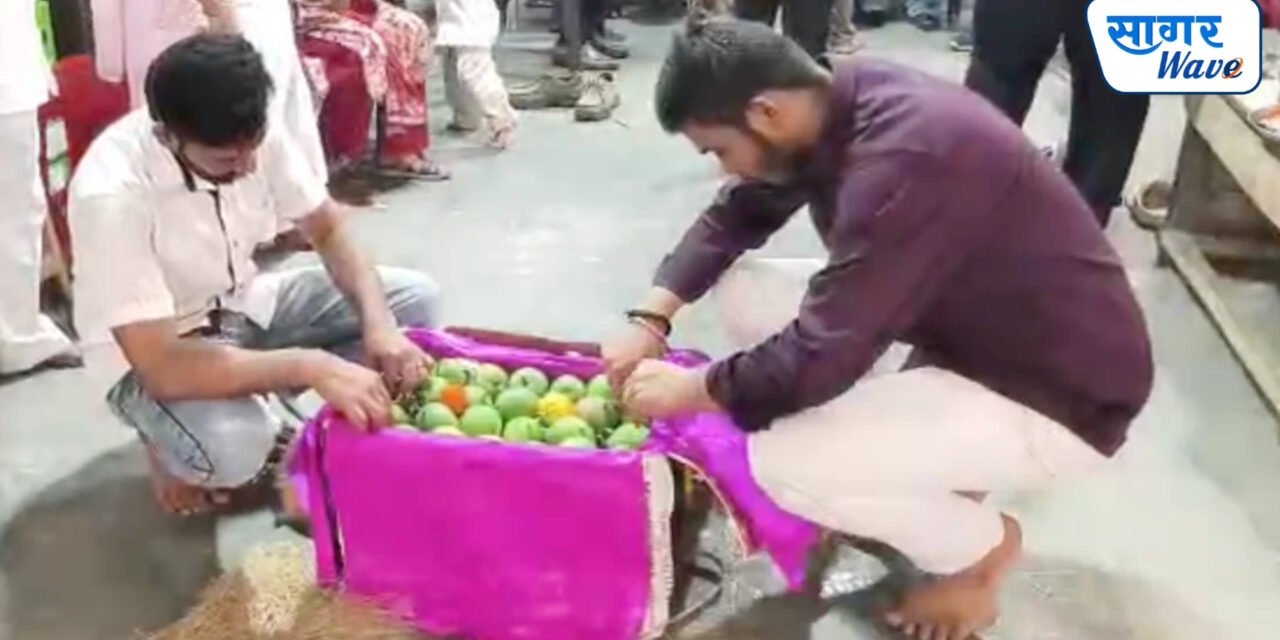 कोकणातून संकष्टीच्या मुहूर्तावर देवगड हापूसची पहिली पेटी वाशी फळबाजारात दाखल…