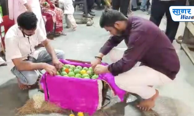 कोकणातून संकष्टीच्या मुहूर्तावर देवगड हापूसची पहिली पेटी वाशी फळबाजारात दाखल…
