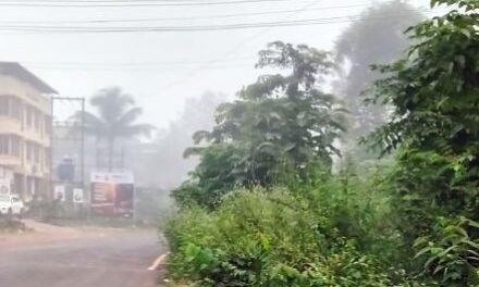 चिपळूण-गुहागर महामार्गावर मिरजोळी येथे रस्त्याच्या दुतर्फा झाडांच्या फांद्या तात्काळ छाटण्याची मागणी…