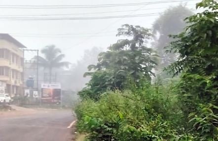चिपळूण-गुहागर महामार्गावर मिरजोळी येथे रस्त्याच्या दुतर्फा झाडांच्या फांद्या तात्काळ छाटण्याची मागणी…