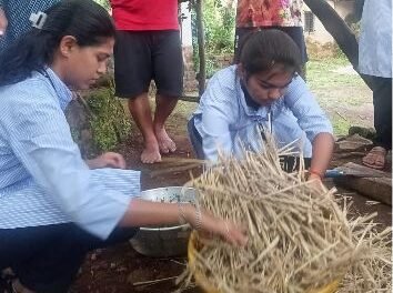 कमी खर्चात पौष्टिक पशुखाद्य: मुगिज येथे ‘अझोला निर्मिती व पशुखाद्य वापर’ प्रात्यक्षिक संपन्न…
