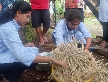 कमी खर्चात पौष्टिक पशुखाद्य: मुगिज येथे ‘अझोला निर्मिती व पशुखाद्य वापर’ प्रात्यक्षिक संपन्न…