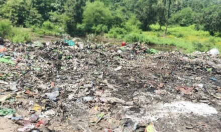कचऱ्यामुळे कलोते-रयती मार्गावर दुर्गंधीचे साम्राज्य,अन्नमिश्रित कुजलेल्या कचऱ्यामुळे नागरिक हैराण…