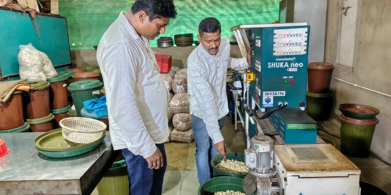 मिलिंद ॲग्रो काजू युनिटमुळे तालुक्यात उद्योजकतेला नवी दिशा! स्थानिक रोजगारनिर्मिती आणि युवकांच्या स्वावलंबनावर भर…