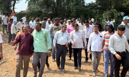पिंपळीतील दोन्ही पूल १५ जानेवारीपर्यंत वाहतुकीसाठी खुले होणार…