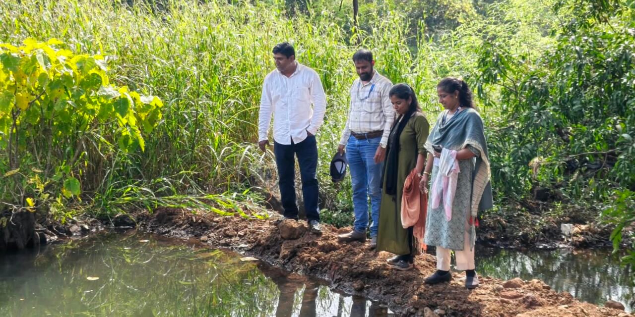 देव्हारे परिसरात जलसंधारणाच्या कामांची पाहणी