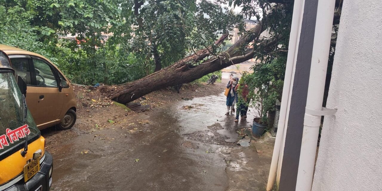 खेड तालुक्यात अवकाळी पावसाची हजेरी…उकाड्यापासून नागरिकांना दिलासा; भरणे येथे आंब्याचे झाड कोसळल्याने वाहतुकीत अडथळा…