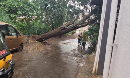 खेड तालुक्यात अवकाळी पावसाची हजेरी…उकाड्यापासून नागरिकांना दिलासा; भरणे येथे आंब्याचे झाड कोसळल्याने वाहतुकीत अडथळा…