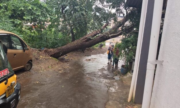 खेड तालुक्यात अवकाळी पावसाची हजेरी…उकाड्यापासून नागरिकांना दिलासा; भरणे येथे आंब्याचे झाड कोसळल्याने वाहतुकीत अडथळा…