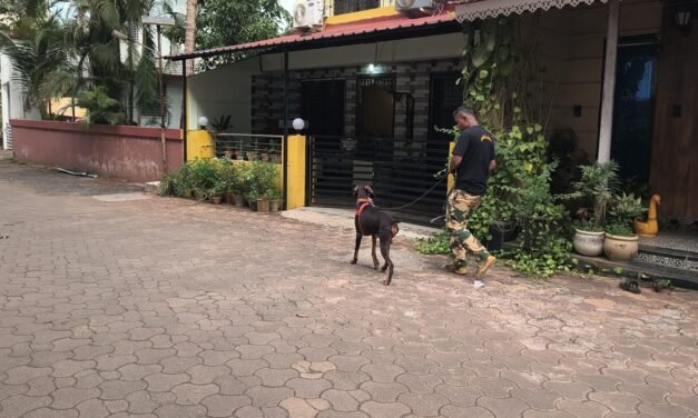 खेडमध्ये चोरट्यांचा धुमाकूळ; वेरळमध्ये शेजारील दोन बंगले फोडले…!